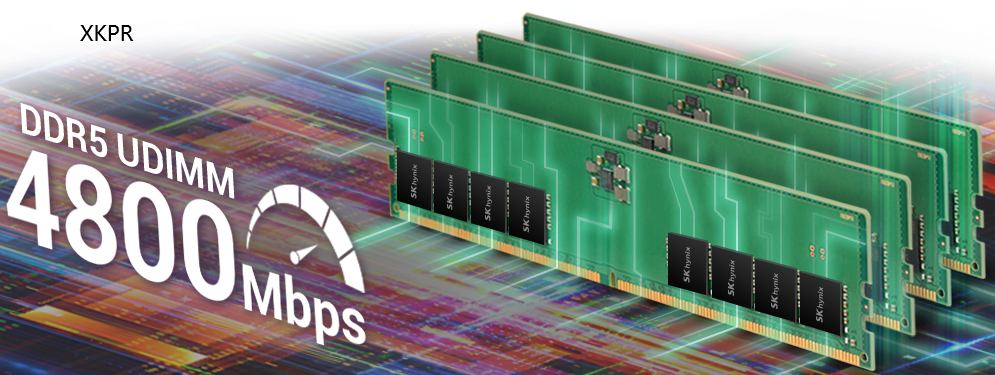 SK hynix DDR5 8G 4800 UDIMM HMCG66MEBUA081N 现代海力士台式机内存条 容量8GB 频率4800Mbps